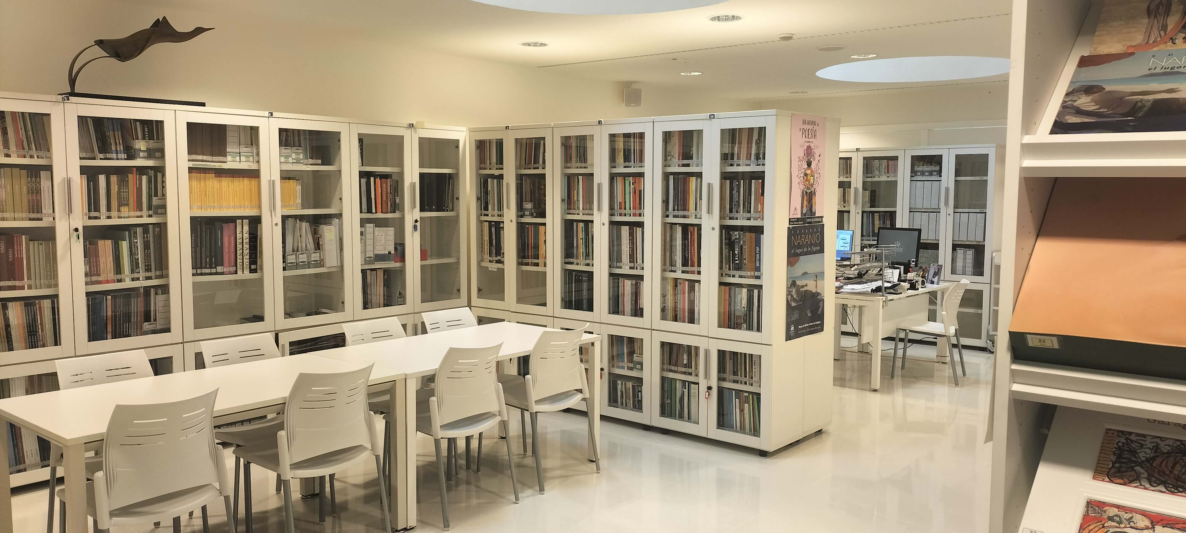 Biblioteca MUBA
